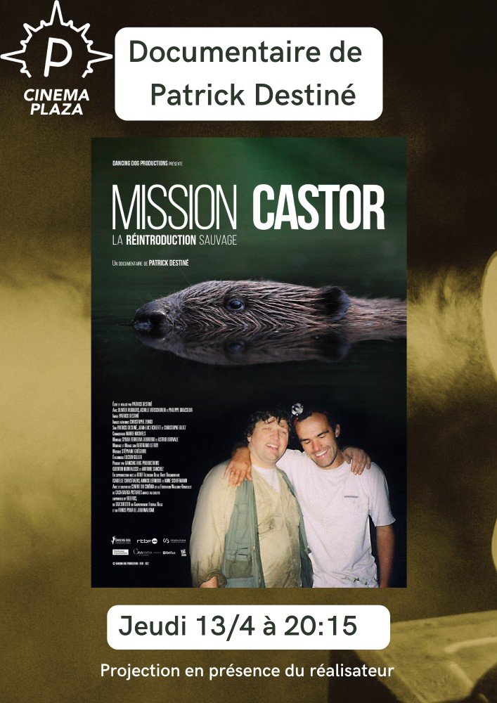 affiche - Mission Castor - Rencontre avec Patrick Destiné